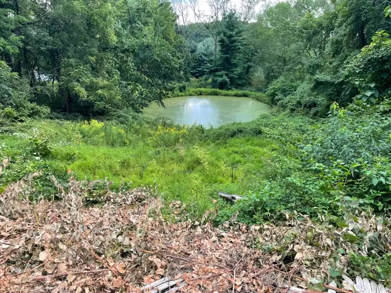 282 Mount Kemble Ave, Morris, NJ 07960 - Image #2