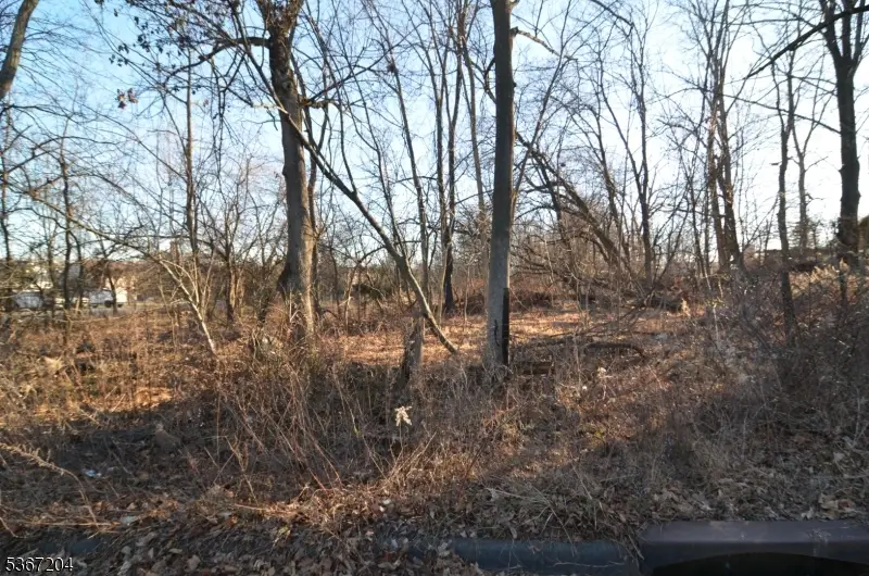 12 Corcoran St, Flemington, NJ 08822 - Image #2