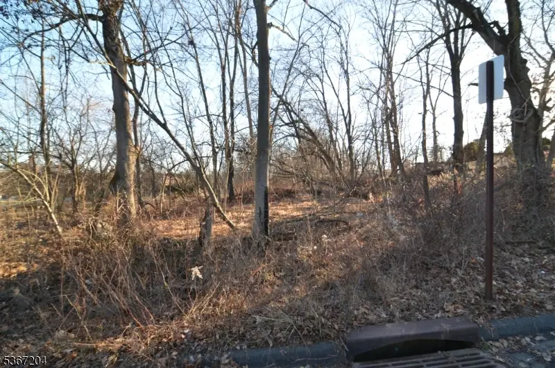 12 Corcoran St, Flemington, NJ 08822 - Image #3