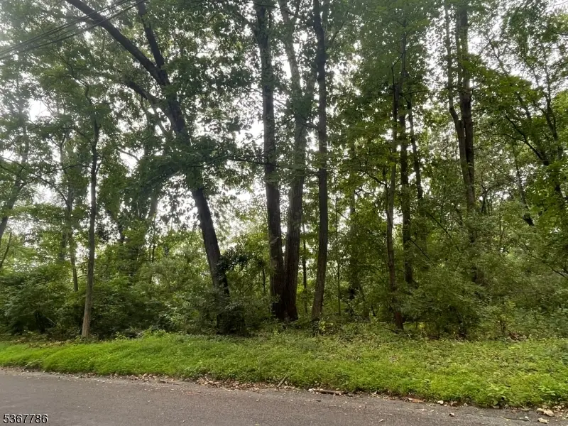 19 Polktown Rd, Union, NJ 08827 - Image #2