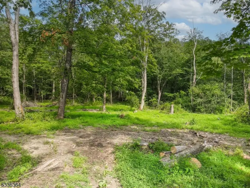 000 Florence Ln, Andover Township, NJ 07821 - Image #2