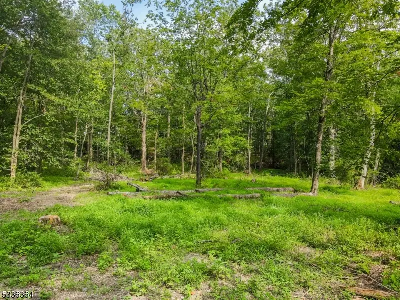 000 Florence Ln, Andover Township, NJ 07821 - Image #3