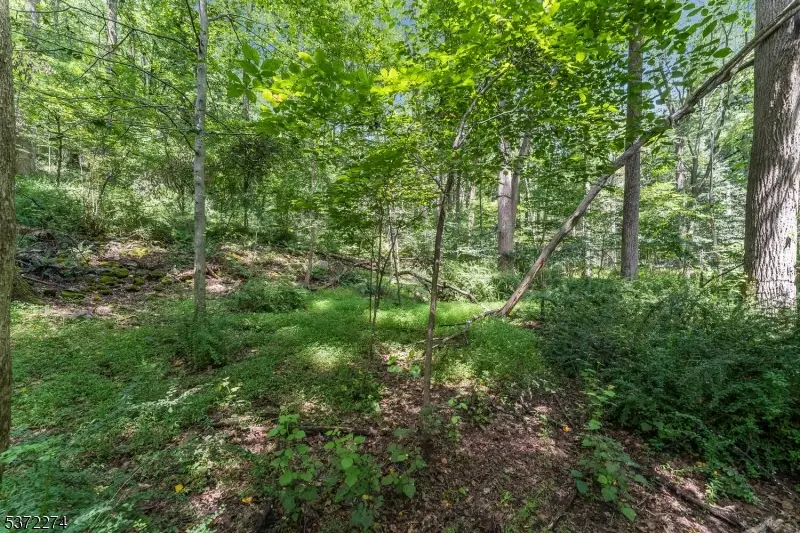 0 Sweet Hollow Road, Holland, NJ 08848 - Image #1