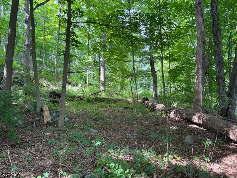 300 Alphano Road, Allamuchy Township, NJ 07840 - Image #1