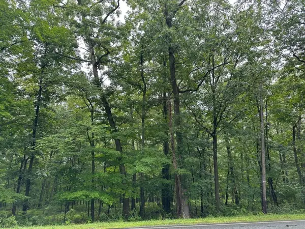 220 Mattison Reservoir Ave., Frankford Twp., NJ 07826