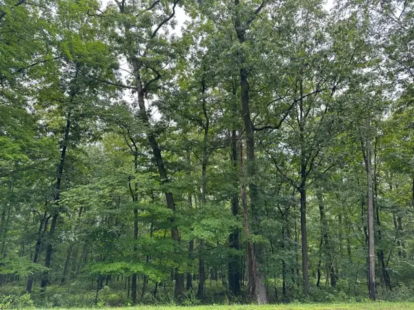 216 Mattison Reservoir Ave., Frankford Twp., NJ 07826