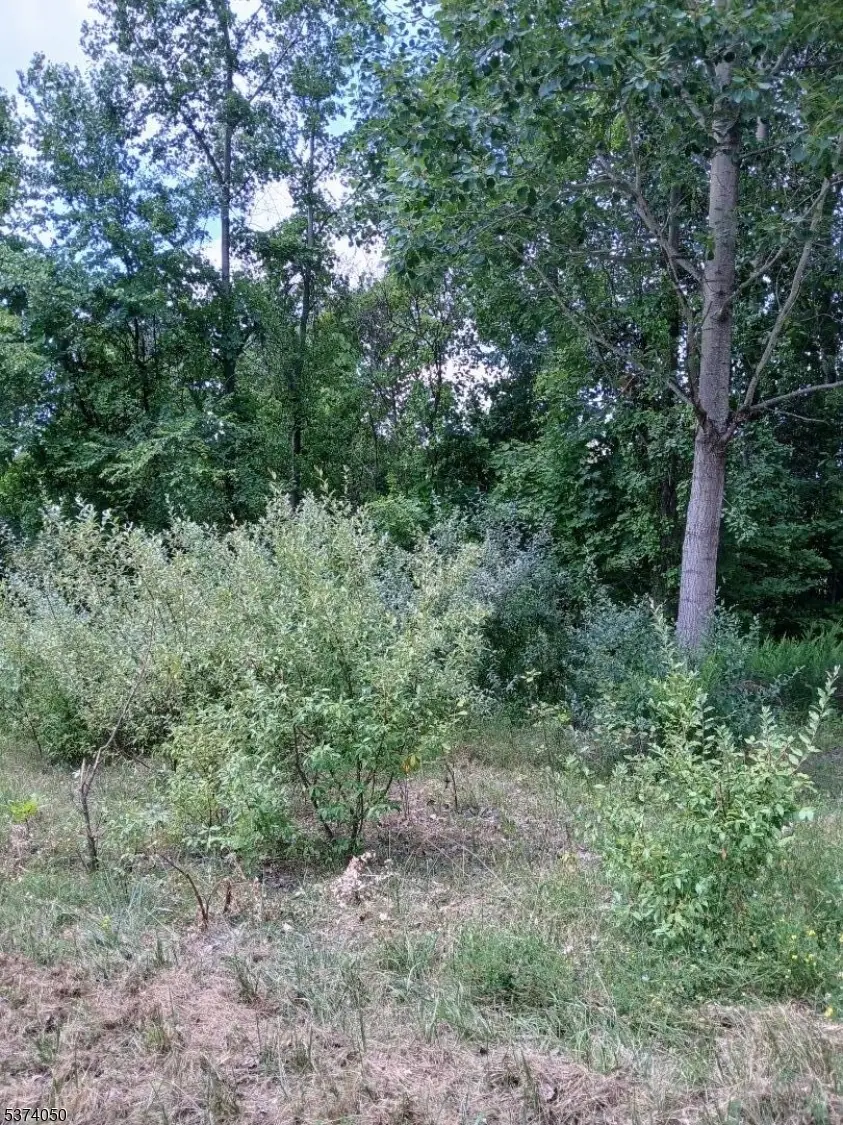 3 Holland Cir, Sparta, NJ 07871 - Image #2