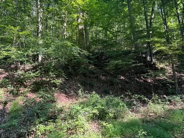 130 Millbrook Road, Franklin Twp., NJ 07882