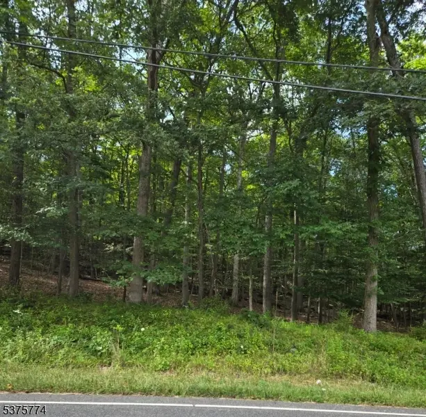 54 Northwood Rd, Hopatcong, NJ 07849 - Image #3