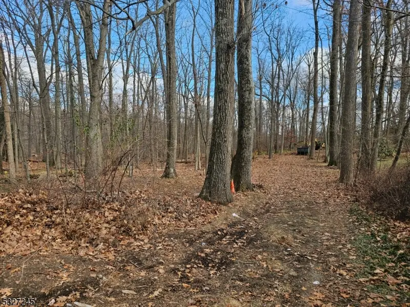 34 Starlight Dr, Morris, NJ 07960 - Image #3