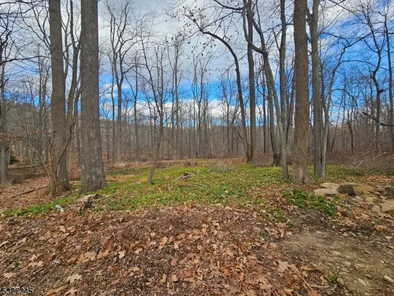 34 Starlight Dr, Morris, NJ 07960 - Image #1