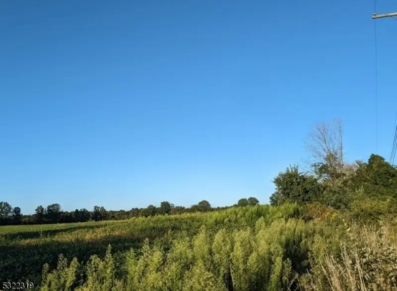 554-560 Oak Grove Rd, Kingwood, NJ 08825 - Image #3