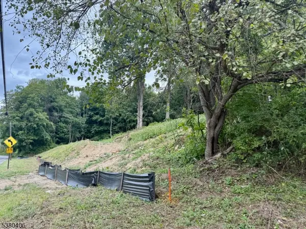 113 Munsonhurst Rd, Franklin Boro, NJ 07416