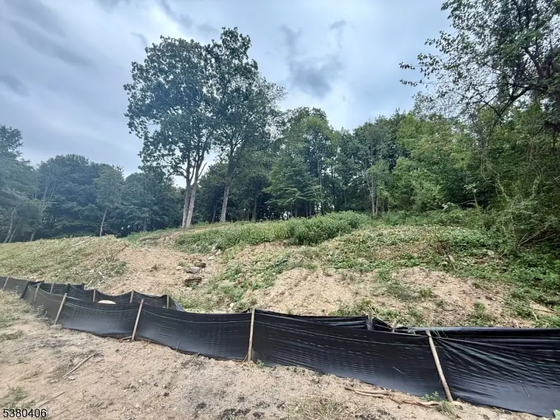 113 Munsonhurst Rd, Franklin, NJ 07416 - Image #2