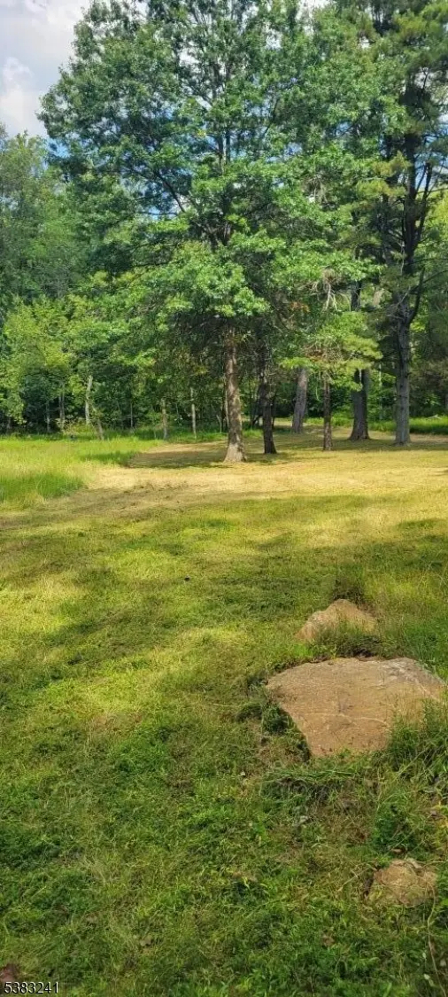 13 Ridge Rd, East Amwell Township, NJ 08525 - Image #2