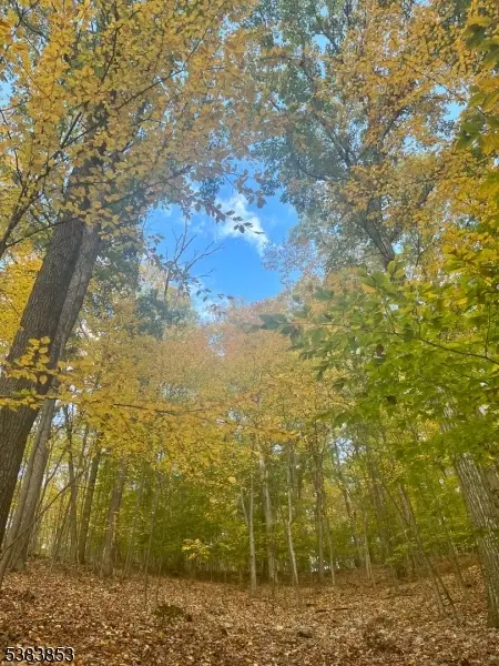 N/A Gravel Hill, Holland, NJ 08848 - Image #2