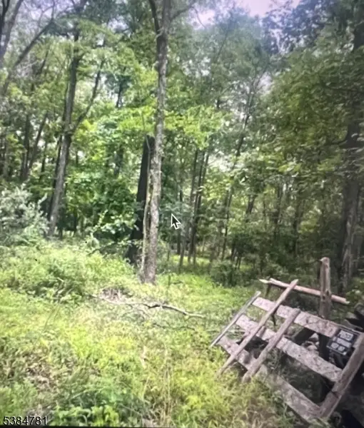 00 University Lane, Sussex, NJ 07461 - Image #2