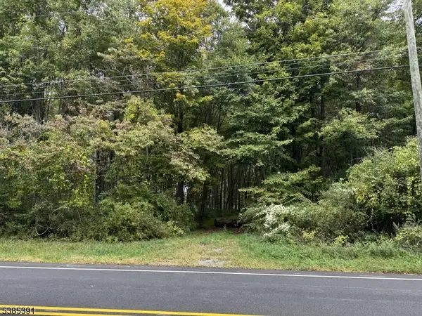 000 S 4bridges Rd, Washington Twp., NJ 07930