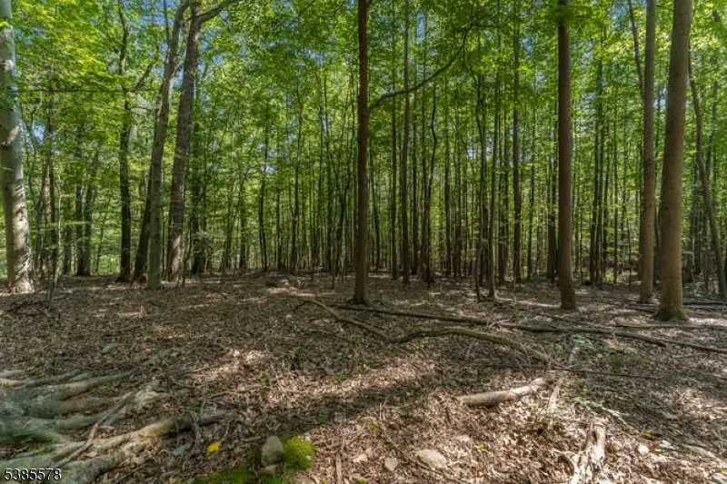 68 Sanatorium Rd, Glen Gardner, NJ 08826 - Image #2