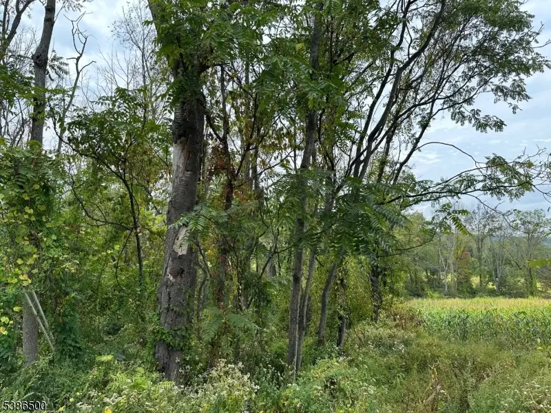 393 Mountain Lake Rd, Liberty, NJ 07838 - #1