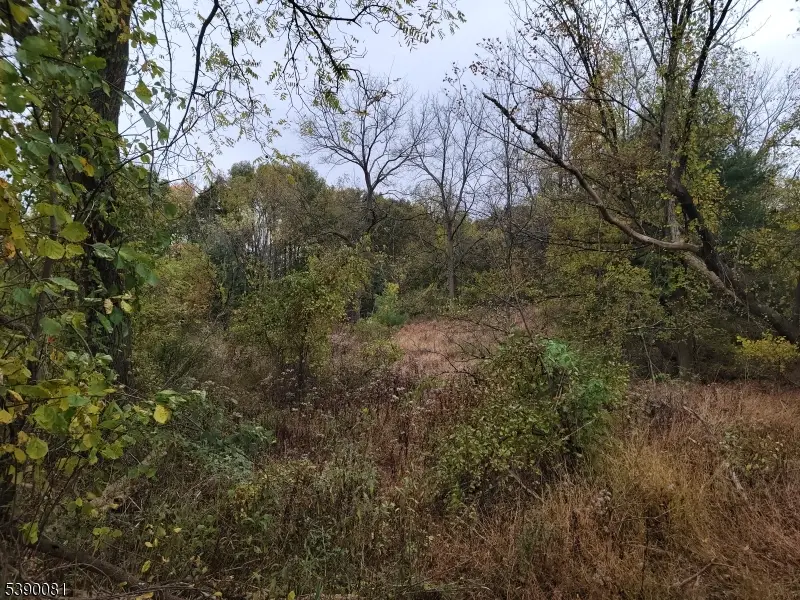 258 Clove Rd, Montague, NJ 07827 - Image #1