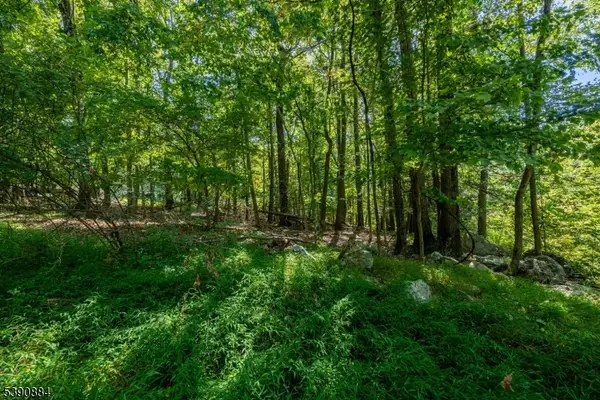 6 Ridge Rd, Vernon Twp., NJ 07461