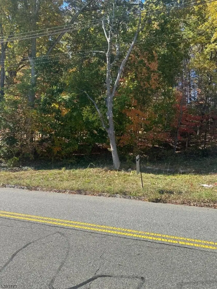 33 N Hillside Ave, Roxbury Township, NJ 07876 - #2