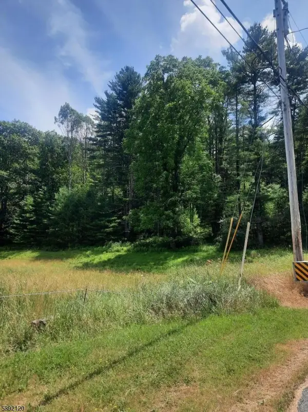 37 New Mashipacong Rd, Montague Twp., NJ 07827