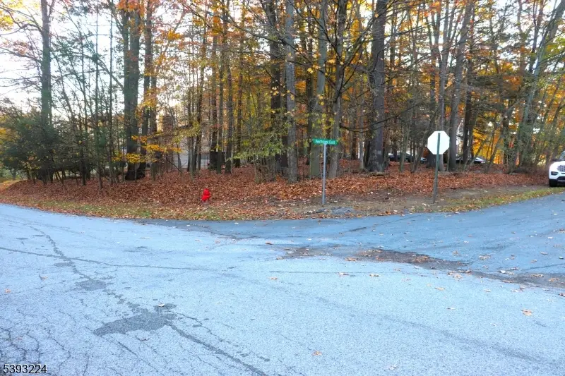 241 Old Chimney Ridge Road, Montague, NJ 07827 - Image #3