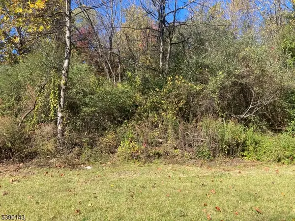 1 Bridge Rd, Knowlton Twp., NJ 07832