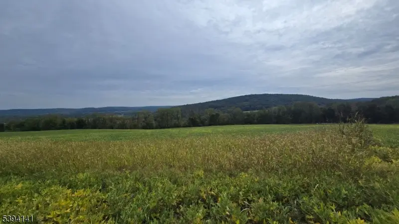 100 Marble Hill Rd, Liberty, NJ 07838 - Image #2