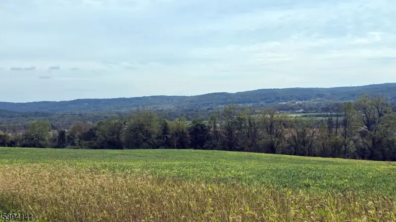 100 Marble Hill Rd, Liberty, NJ 07838 - Image #3