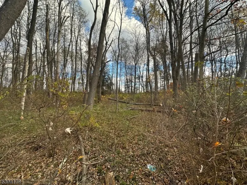 143 Vail Rd, Knowlton, NJ 07832 - Image #1