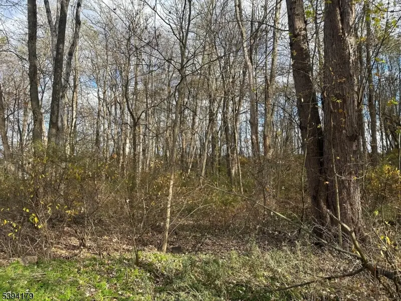 143 Vail Rd, Knowlton, NJ 07832 - Image #3