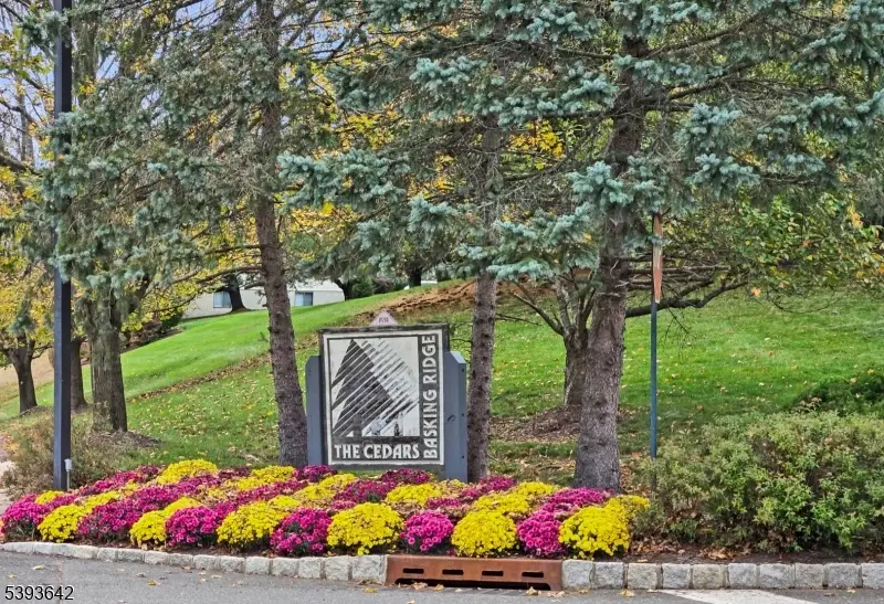 2305 Privet Way, Bernards, NJ 07920 - Image #2