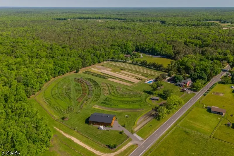 550 Hands Mill Rd, Belleplain, NJ 08270 - Image #3