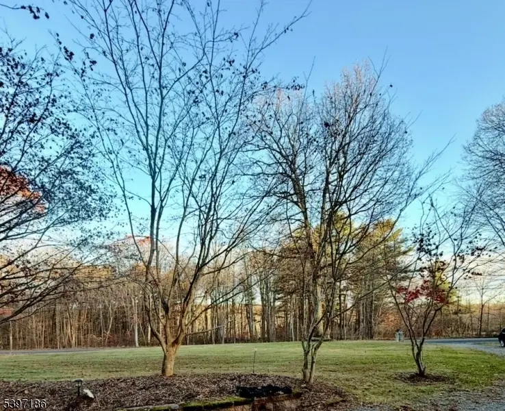 8 Possaghi Rd, Crandon Lakes, NJ 07860 - Image #2