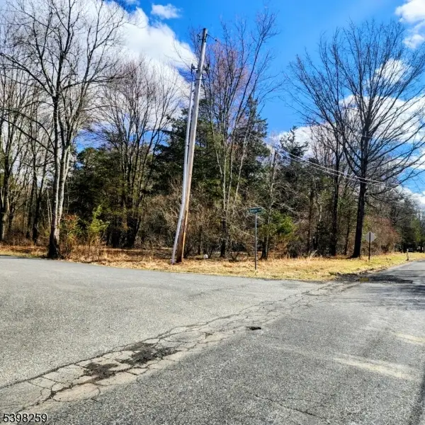 2 Shrope Ln, Kingwood, NJ 08825 - #1