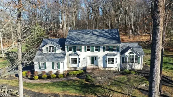 10 Knollwood Ter, Chester Twp., NJ 07930