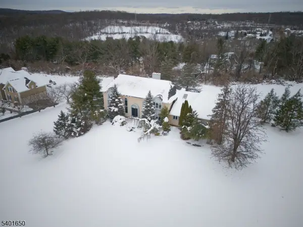 9 Charles Ct, Clinton Twp., NJ 08801