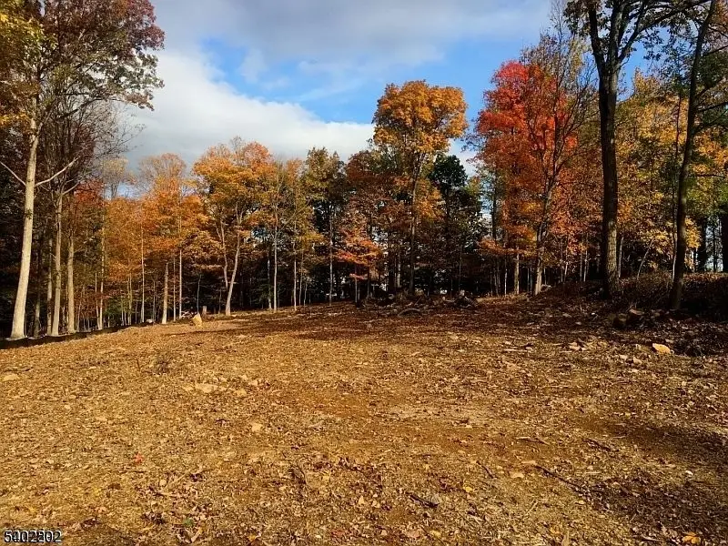 118 Old Stirling Rd, Warren, NJ 07059 - Image #1