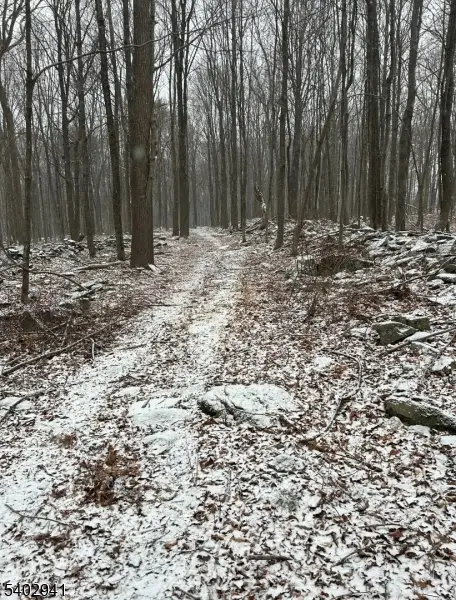 00 Mt Salem Rd, Wantage, NJ 07461 - Image #3