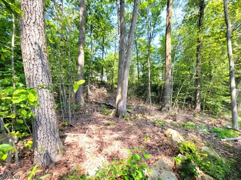 0 Kresson Rd, Upper Greenwood Lake, NJ 07421 - #2