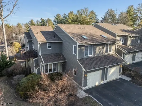 29 Inverrary Pl, Clinton Twp., NJ 08801