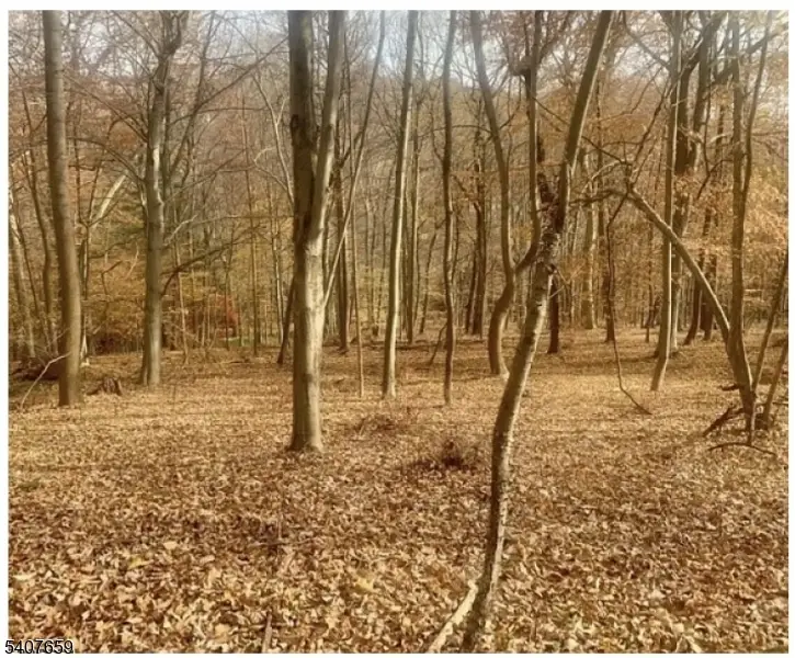 85 Cherryville Hollow Rd, Raritan Township, NJ 08822 - Image #2