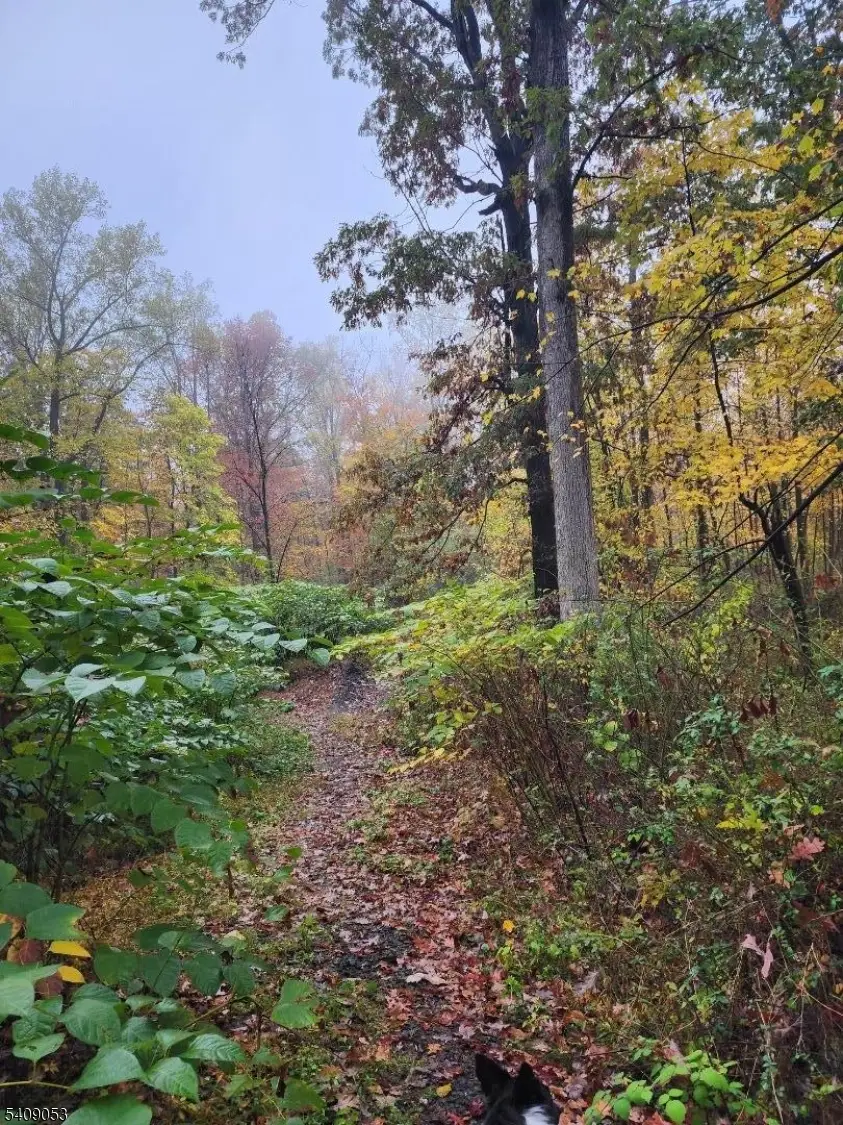 54 Ridge Road, East Amwell, NJ 08525 - #2