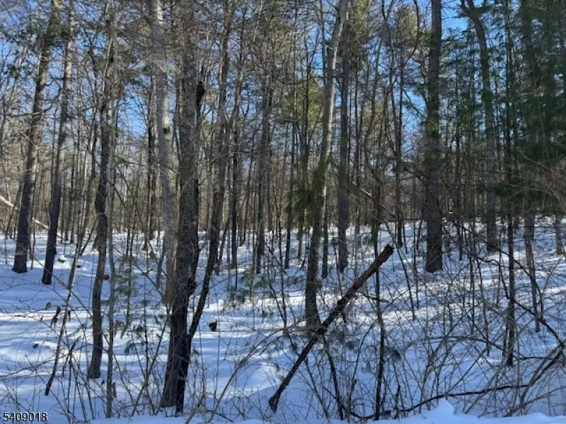 00 Martha St, Sandyston, NJ 07826 - Image #2