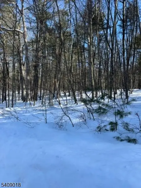 00 Martha St, Sandyston, NJ 07826 - Image #3