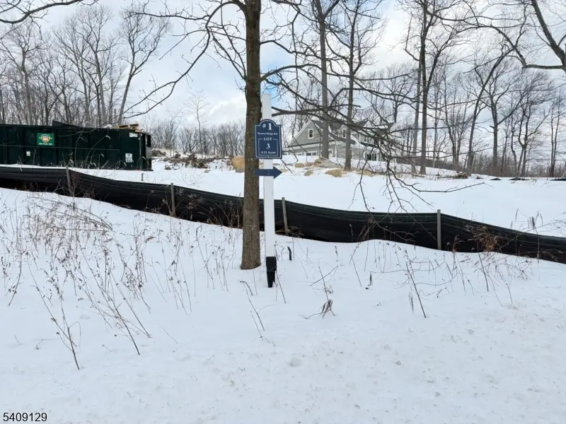 1 Bristol Ridge Rd, Boonton Township, NJ 07005 - #2