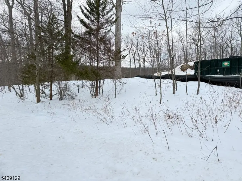 1 Bristol Ridge Rd, Boonton Township, NJ 07005 - #3